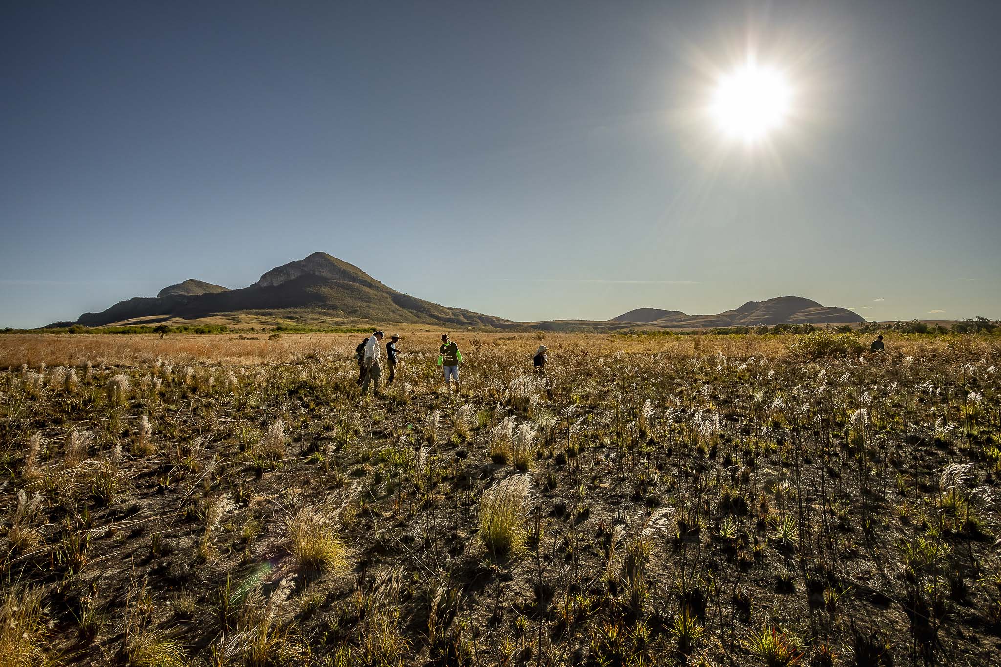 Imagem Restauração Ecológica PA4--15 da expedição de expedicoes/restauracao_25